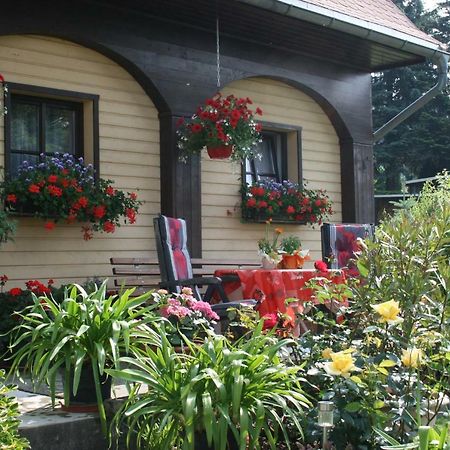 Ferienwohnung Hesse Am Wachberg Saupsdorf Exterior foto