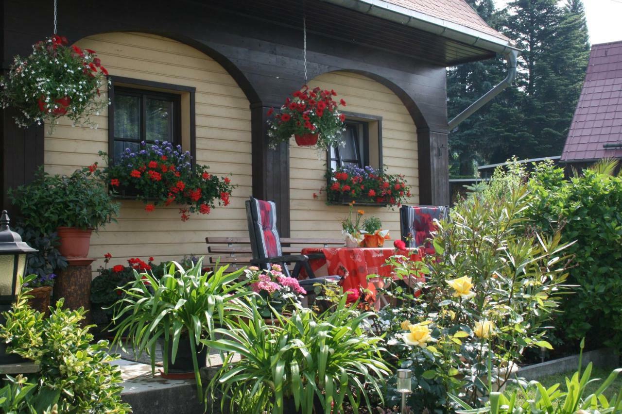 Ferienwohnung Hesse Am Wachberg Saupsdorf Exterior foto